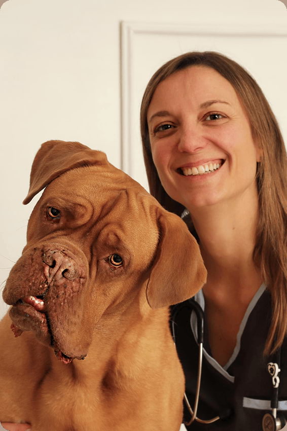 Luciana Mor - Veterinaria