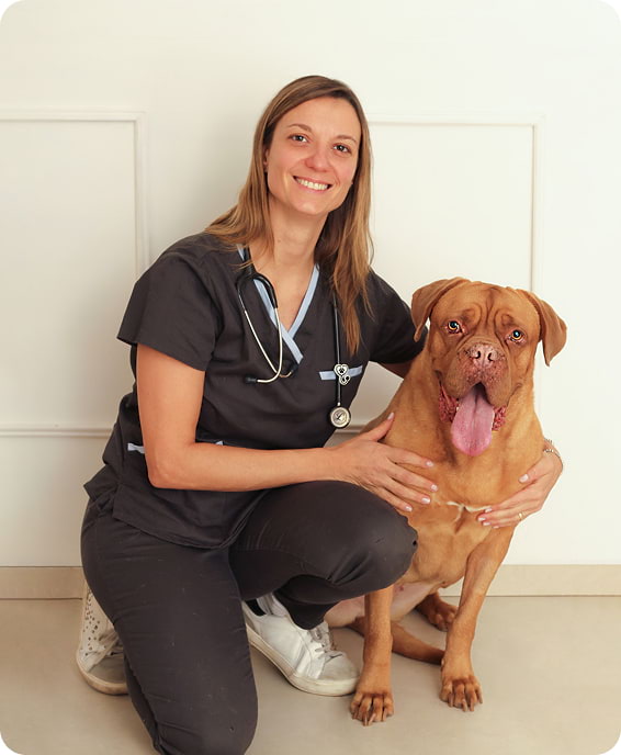 Soy Luciana Mor - Veterinaria